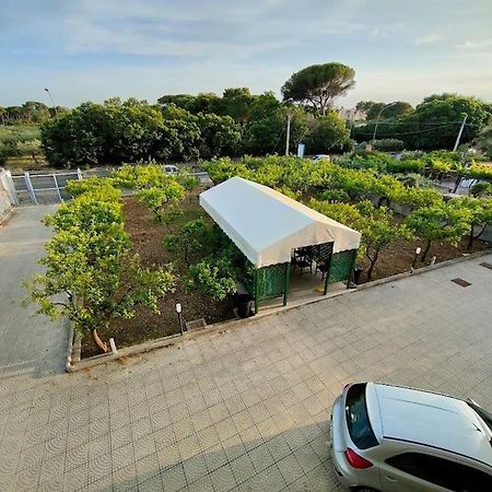 Appartamento Roccaforte Bi Rosso 特拉帕尼 外观 照片